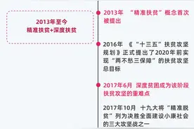 吕德文：乡村振兴都要“强富美”？应该是保底和普惠图片