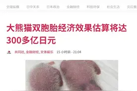 日媒：日本东京上野动物园双胞胎大熊猫公开亮相后，一年内经济效果估算将超300亿日元图片