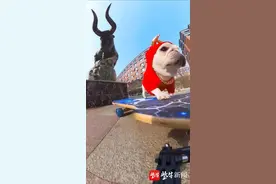这个“滑板高手”，有30万粉丝图片