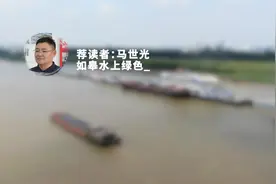 古韵新声话长江丨这个水上服务区很“绿色”图片