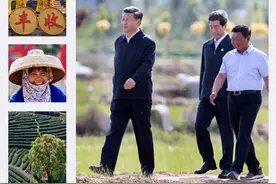 习近平的小康故事丨“中国人的饭碗任何时候都要牢牢端在自己手上”图片