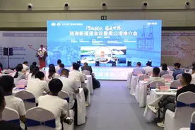 周口港拟开通往返美国洛杉矶国际航线图片