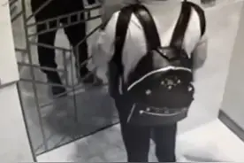 男子健身后手脚并用爬进电梯，还原事情经过：突然腿软，爬回家的图片