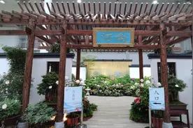 联播pro：河南斩获2个特等奖，花博会进入“郑州时间”图片