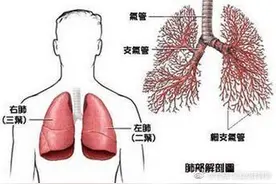 身体这4个部位疼痛 警惕是肺癌早期的信号图片
