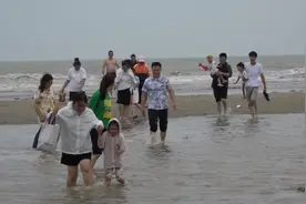 黄海湿地被列为全球第二块潮间带湿地遗产，晋升网红打卡地视频封面