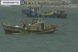 山东青岛迎最大规模浒苔侵袭 已打捞24万吨图片