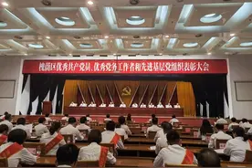 榜样引领前行的力量 槐荫区召开“两优一先”表彰大会图片