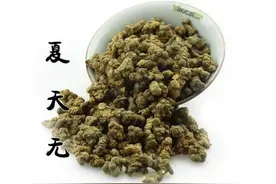 一到夏天就“消失”的中药——夏天无图片