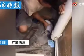 小猫被卡排水管狗子着急狂吠，被救出后的样子太可爱了图片