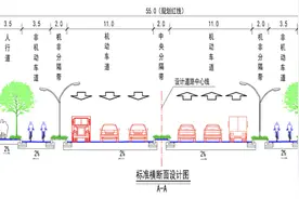 宝山即将新建两条道路，正在公示中～图片