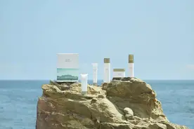 积雪草的神奇功效 你知道吗？图片