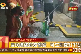 长沙八方小区等多个小区蛇出没！还爬进抽屉了图片