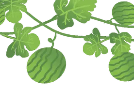 5种瓜营养成分“顶呱呱”，常吃的人身体都不会太差图片