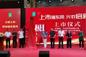 赤壁神山兴农“云敲钟”新交所！国内第一家猕猴桃产业公司在新加坡挂牌上市图片