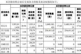 深夜突发！​苏宁易购混改方案落地，深圳国资弃权！这些巨头联手入局…图片