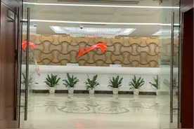 贵人鸟「归来」图片