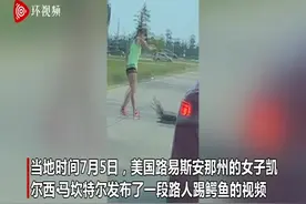 美国一女子在高速公路上遇到鳄鱼 试图用脚踢走它图片