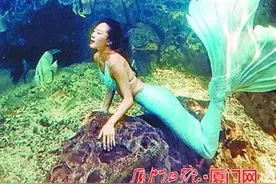 国企女白领辞职当“美人鱼”潜水教练 在水中与鱼共舞很美也很难图片