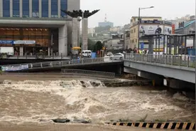 韩国南部地区遭遇暴雨 已致1人死亡图片