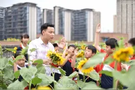 别人家的学校！重庆一小学楼顶种1万多株向日葵花海图片