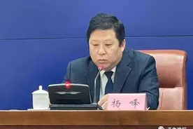 重磅！济南将新建遥墙机场、济阳、商河等3座车站，还有这些变化图片