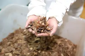 南宁海关破获特大走私珍贵动物制品案，涉案穿山甲鳞爪7919.99千克图片