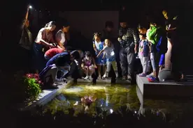 收藏！畅游大自然，探访夜精灵，各大公园和动物园夏令营、夜游活动全攻略在此图片
