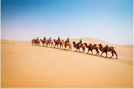 飞猪举办“奇妙旅行节・大西北”，下一个目的地IP来了图片