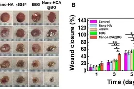 科研新成果：科研人员制备出生物玻璃可高效修复损伤皮肤图片