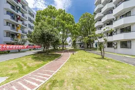 闵行“非改居”第一个项目今开业 工业留存厂房变身青年活力社区图片