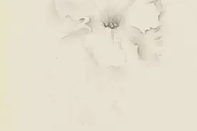 我是如何走出丧乱之痛图片