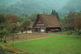 从农家乐到民宿：城市与乡村，关于烟火气的默契融合图片