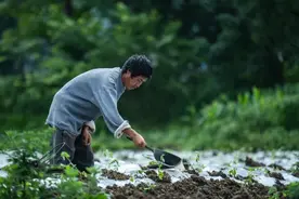 今日小暑：看看古人们在这一节气的“水果自由”图片