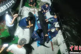 浙江临海上演“鲸”险营救：搁浅瓜头鲸均已妥善安置图片