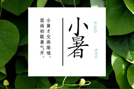 今日小暑！听，呼伦贝尔大草原的声音图片