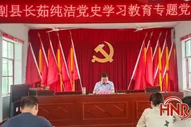 遂平县政府副县长茹纯洁到玉山镇讲党课图片