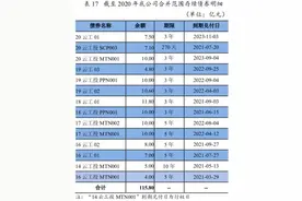 债市特供丨易见股份巨亏116亿，云南工投如何化解？图片