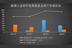 深度｜边定增边卖资产 鹏博士转型群雄争霸云网业务前景难料图片