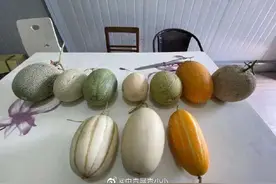 “每天要吃100只！”男博士加班“吃瓜”：嘴巴都不是自己的了图片