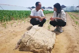 这座山“身高”不足1米 却是寿光市海拔最高点图片