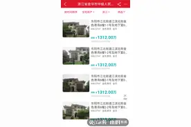 唏嘘！义乌小商品市场走出来的前“浙江女首富”名下4套别墅，将被拍卖图片