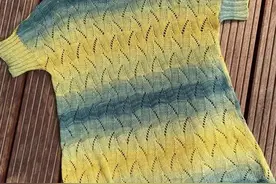 野原：夏季女士百搭流线花短袖小衫（有编织图解）图片