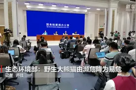 生态环境部：野生大熊猫由濒危降为易危视频封面
