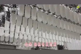 网红棒冰是怎么做出来的？Knews记者带你一探究竟图片