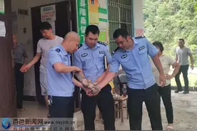 生死时速！德保公安紧急救助受伤的濒危穿山甲图片