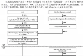 总资产791亿元的重庆协信远创被申请破产重整 谁会是投资接盘方？图片