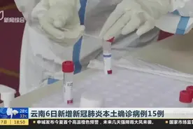 云南6日新增新冠肺炎本土确诊病例15例：瑞丽姐告国门社区调整为高风险地区视频封面