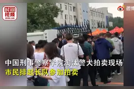 中国刑警学院拍卖淘汰犬，男子出33万最高价购得心仪犬：超预算也值图片