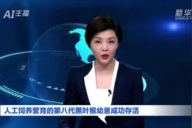 AI合成主播｜人工饲养繁育的第八代黑叶猴幼崽成功存活视频封面